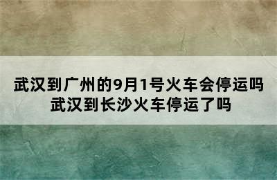 武汉到广州的9月1号火车会停运吗 武汉到长沙火车停运了吗